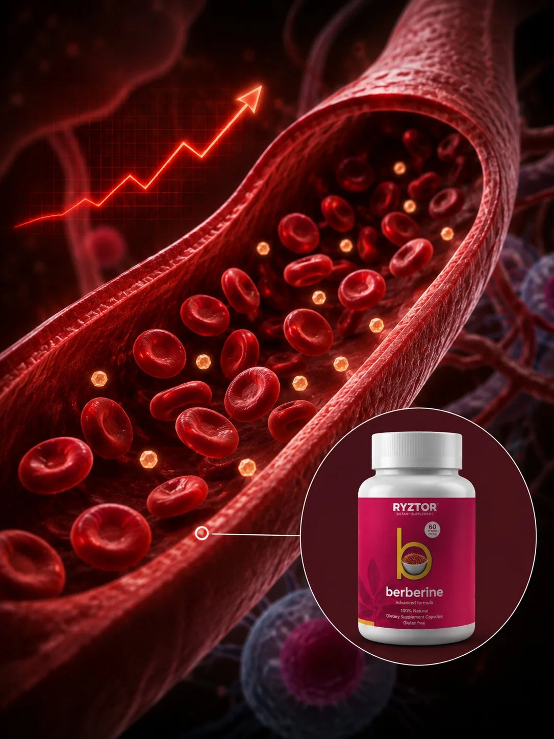 Balanced metabolic wellness visualization with RYZTOR Berberine